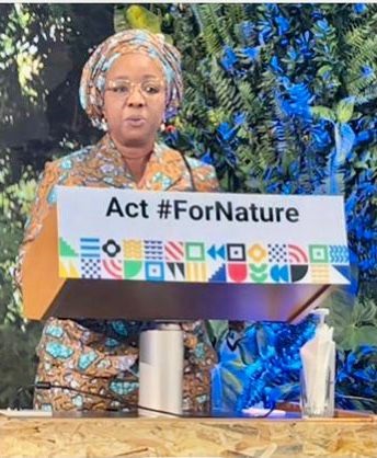 The Minister of State for Environment, Barr. Sharon Ikeazor.