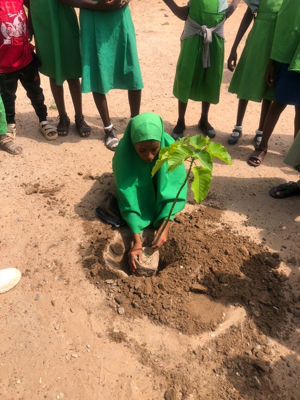 JAM Initiative Tree Planting