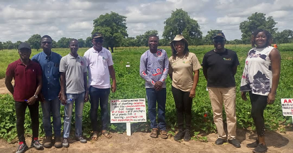 PBR Cowpea Ghana